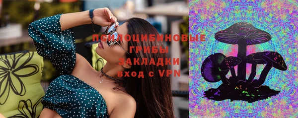 мяу мяу мука Аркадак