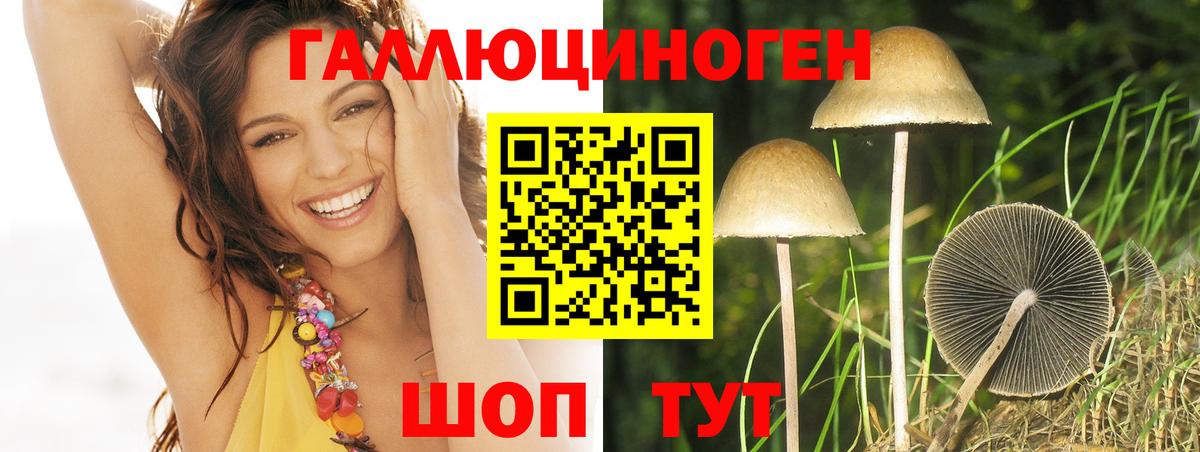 Галлюциногенные грибы MAGIC MUSHROOMS  Галлюциногенные грибы Psilocybe  Коломна  Вход с VPN 